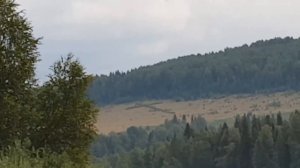 Рыбалка в верховьях реки Колва 2018. Часть 2. Немного рыбалки и много релакса.