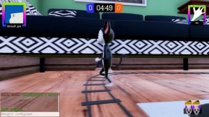 КОШКИ VS МЫШКИ ♦ Ratty Catty