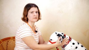 Халти | Как отучить собаку тянуть поводок | Самый удобный намордник