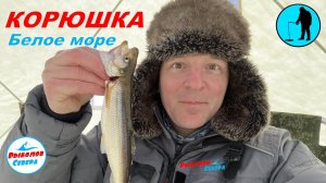 ✅КОРЮШКА НА СУХОМ МОРЕ Март2022 #рыболов_севера