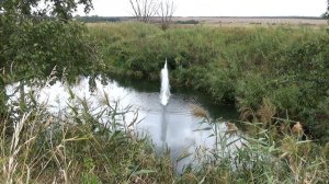 Ружьё ИЖ-27М. Стрельба