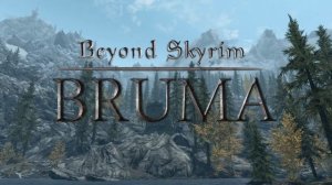 Beyond Skyrim: Bruma Soundtrack - Widow's Lament