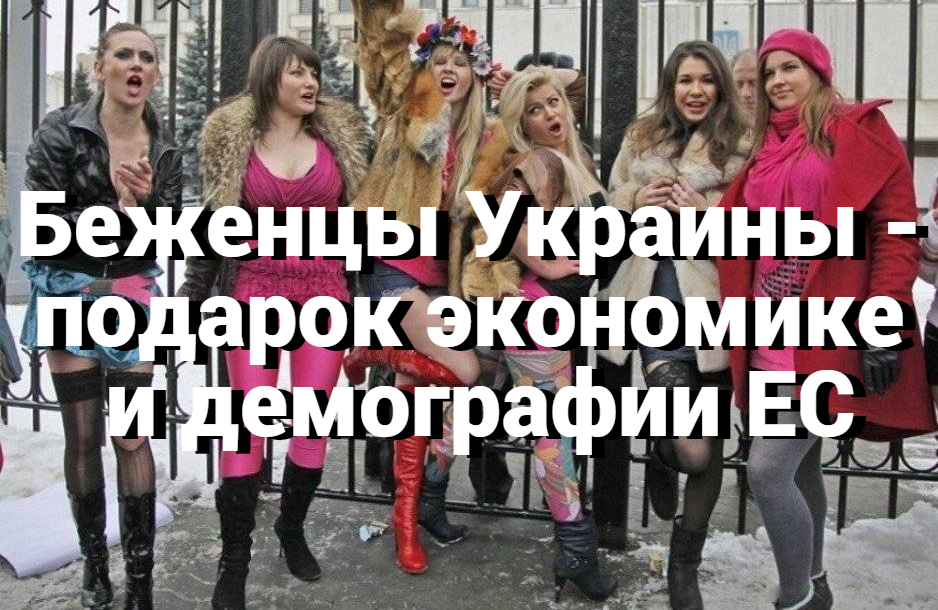 Почему беженцы Украины - подарок экономике и демографии "старушки" Европы.