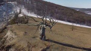 Хранитель Байкала