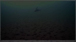Истринское водохранилище 23.02.2022