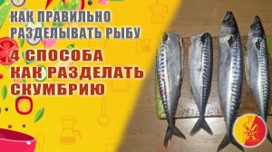 Четыре способа как правильно и быстро раздеть скумбрию.