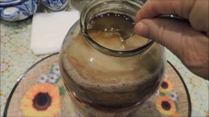 Как заставить ? чайный гриб разделиться на две части. Medusomyces gisevi.