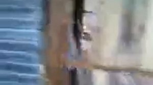 строю баню на Волге