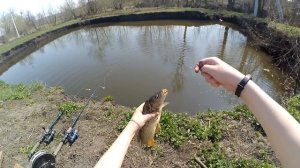 ЛОВЛЯ РЫБЫ НА РЕЗИНКУ!! (КАРП, ЛИНЬ) | ЧАСТЬ 2