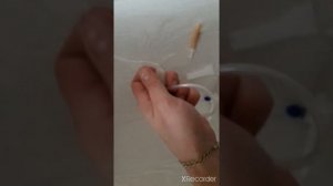 рыба из капельницы
