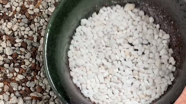 70/30 Cactus Soilmix DIY (2021) смотреть онлайн