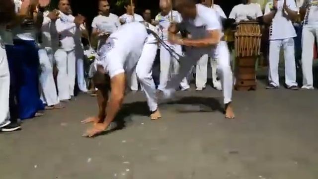 Mestre macarrão e prof. Deco смотреть онлайн