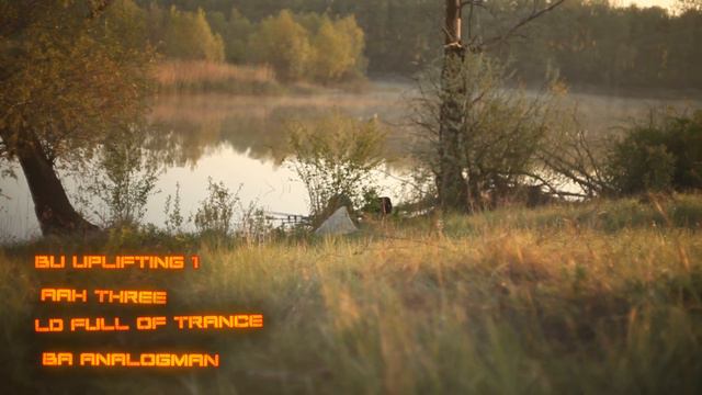 True Trance Sounds V1 for Dune 3 (Analog Wavetables Edition) смотреть онлайн