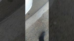 Хонда Одиссей 2 поколение 2.3 обьем