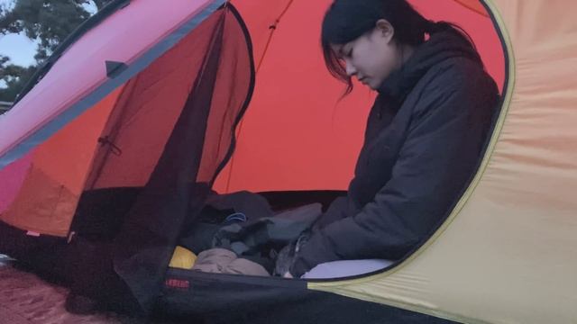 SUB) 마지막 가을 백패킹 / 5성급 호텔보다 좋다 / 산캉스 / 백패킹