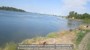 Ловля ДОНСКОЙ СЕЛЬДИ !