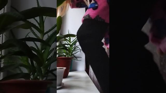 Сериал 1 часть тайный подписчик и кукла каяки и челлендж смотреть онлайн