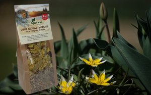 Монастырский сбор трав отца Георгия онкология