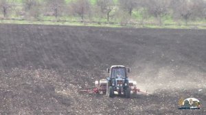 Первый сев подсолнухи в раионе на Мтз 1025 и CANSA 900R