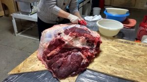 Забой быка. Почём продали? Сколько денег получили за мясо?