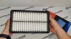 Фильтр воздушный Hyundai/Kia 28113-L1000, 28113L1000