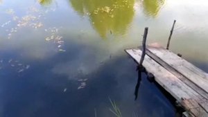Ловля крупного бычка и ротана летом на удочку. Бычки не отпускают нас домой!!!