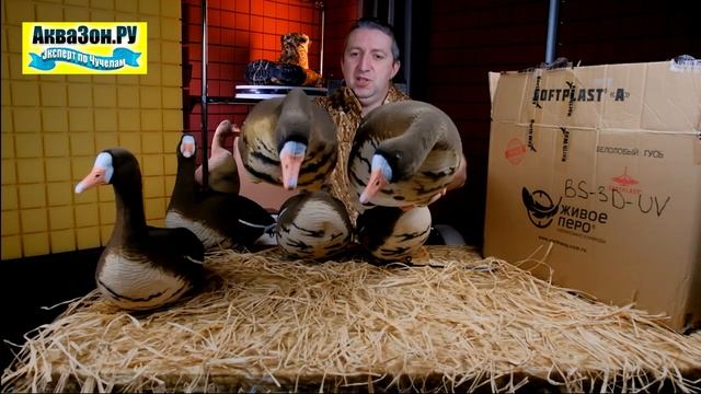Чучела гусей Белолобые Softplast 2021 Живое перо BS 3D UV. Аквазон ру
