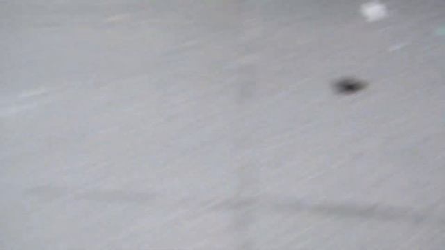 Жесть!!! Большие тараканы атакуют Москву! смотреть онлайн