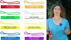 Обзор Flexi XTREME : первая рулетка с амортизатором