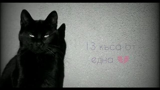 Росен Кукошаров - Черна котка (lyric video) смотреть онлайн