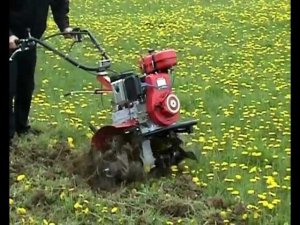 Испытания культиватора ФР 40