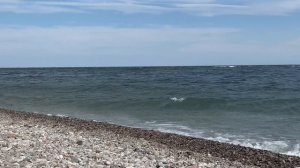 День 7-8-9. Тропа через Большое Голоустное. Пробуем еду через 9 дней леса