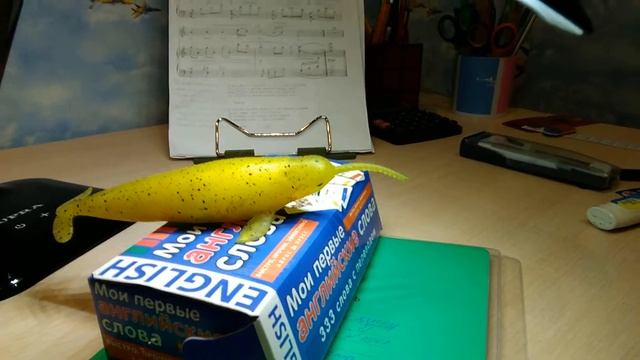 Новый морской гигант nk Максим нарвал смотреть онлайн