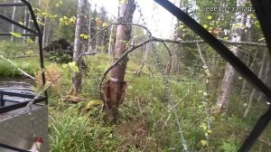 ВЕЗДЕХОД ( каракат ) который может ВСЁ! "ЗВЕРЬ ПРО" в деле. Один день в Тайге 2023.