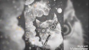 25/17-Новый вирус (п.у. Зоя Вебер)