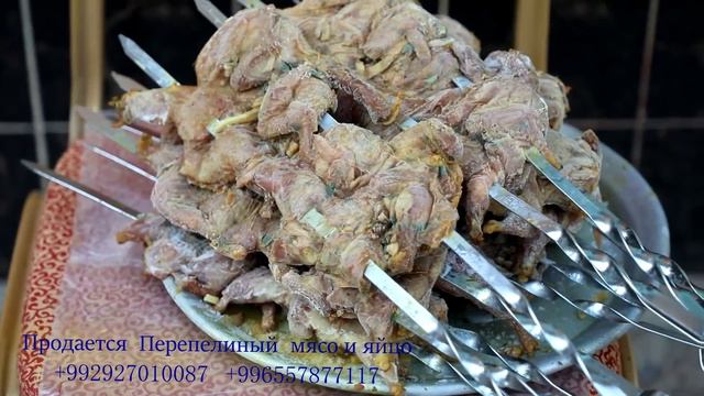 ПЕРЕПЕЛКИ на мангале. ШАШЛЫК по-кавказски. Продается мясо и яйцо Перепелки. 927010087  0557877117
