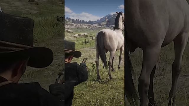 Can You Shoot Horse's Balls in Red Dead Redemption 2?