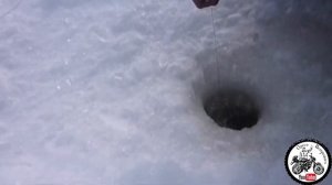 ЭКСТРЕМАЛЬНАЯ РЫБАЛКА В ЯКУТИИ АРХИВ крайний север