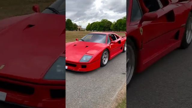 918 and F40 in Convoy! #ferrari #f40 #porsche #hypercar #classiccars #supercars