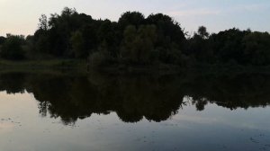 Белевецкий пруд. Липецкая область. Елецкий район. Ловля карася.