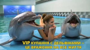 Романтическое VIP купание с дельфинами в Одесском дельфинарии NEMO!