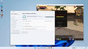 Karos Online: Как получить бан за Windows 11.