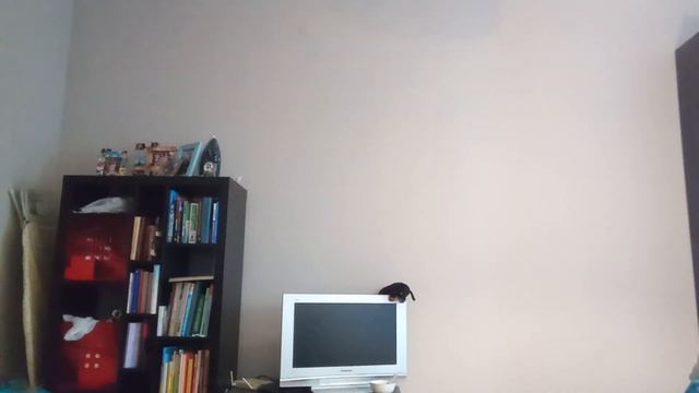 это 3 часть как научиться прыгать как лиса ? смотреть онлайн