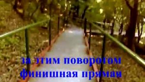 Чёрное море Криница 135 ступеней к морю