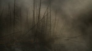 Футаж. Осенний пейзаж 23 Footage. Autumn landscape 23