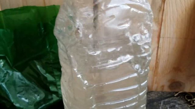 How to plant & grow ASPARAGUS смотреть онлайн