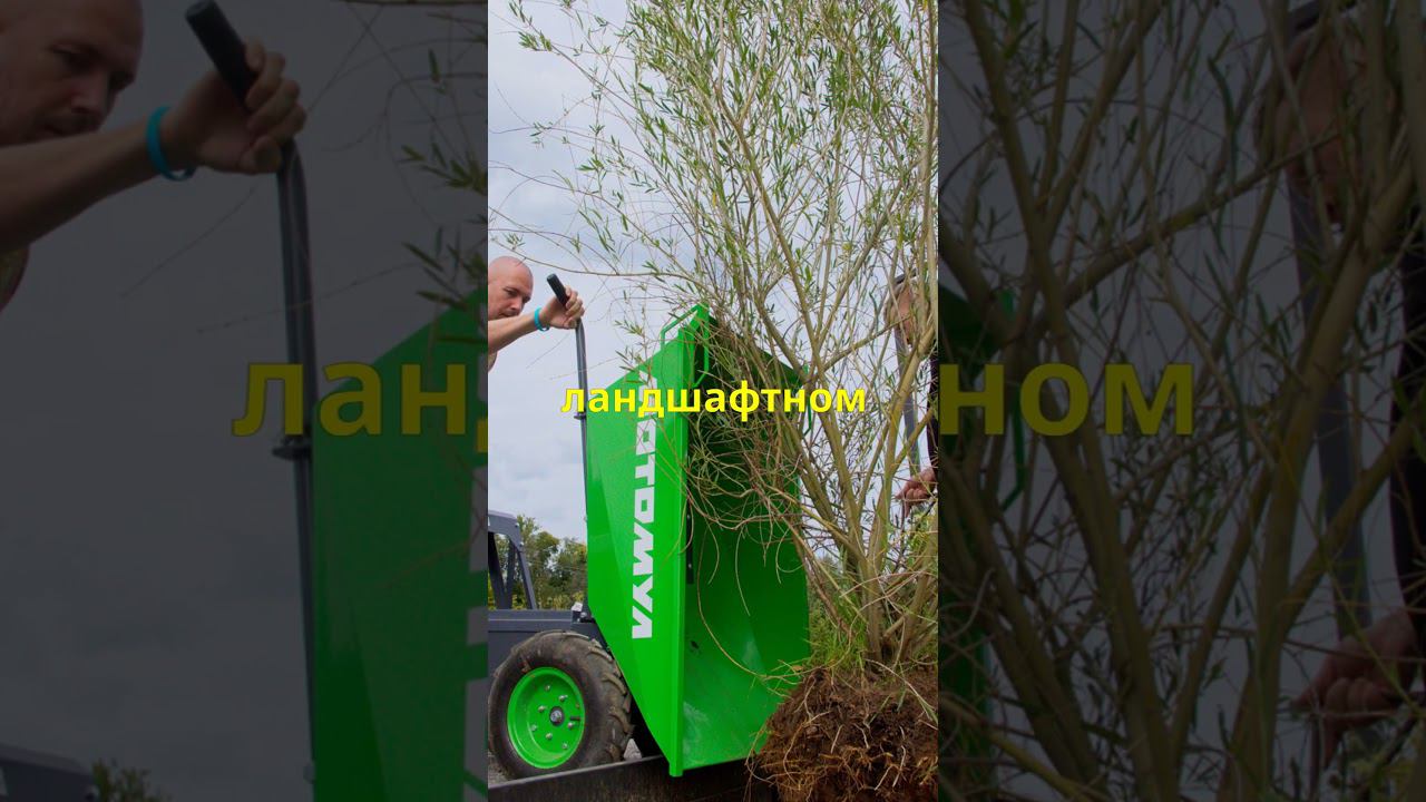 Откройте секреты мастеров ландшафтного дизайна на Сад во времени-2024  #shorst #ландшафтныйдизайн
