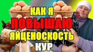 Вот так я ПОВЫШАЮ яйценоскость у кур.