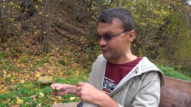 ВЛОГ:ПРИЕХАЛИ НА РОДНИК/НА ЧТО ГОТОВ САНЕК РАДИ МОХА С МЕДОМ!!! смотреть онлайн