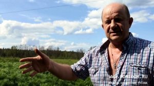 Вред от капельного полива и как его избежать. Капельный полив превратит Вашу землю в пустыню!